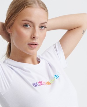 Superdry Logo Symbols Embroidered Női Pólók Fehér | IFBRV8541